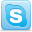 Web Unit Skype